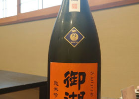 alt 1
