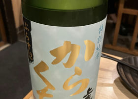 alt 1