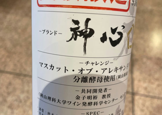 alt 1