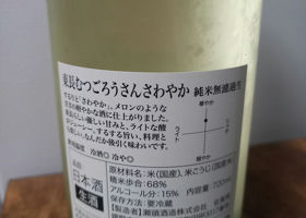 alt 3