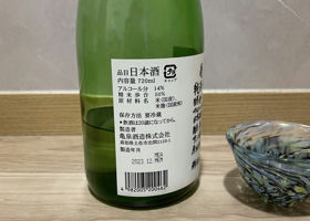 alt 3