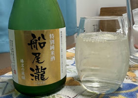 alt 1