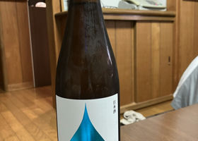alt 3