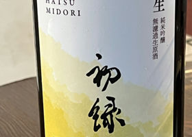 alt 2