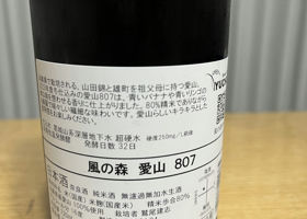 alt 3