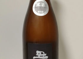 alt 1