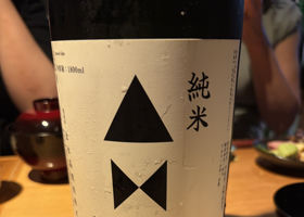 alt 1