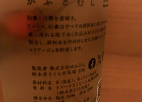 alt 3