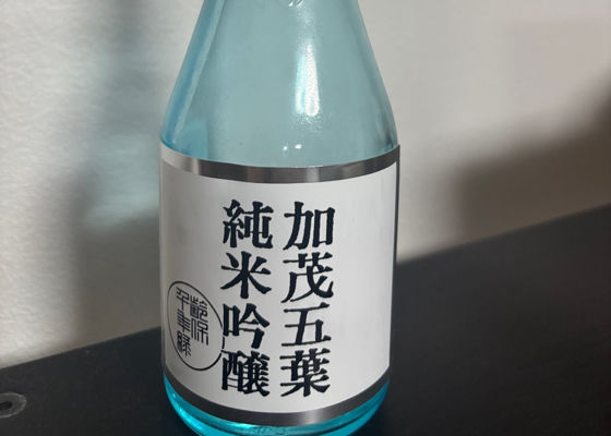 加茂五葉 チェックイン 1