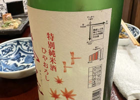 alt 3