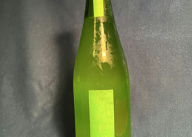 alt 1