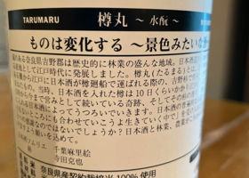 alt 3