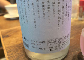 alt 3