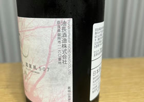 alt 3