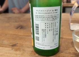 alt 3