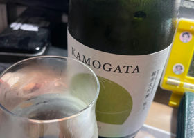 KAMOGATA チェックイン 1