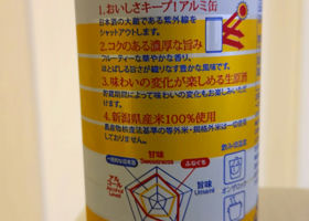 alt 3
