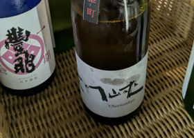 alt 1