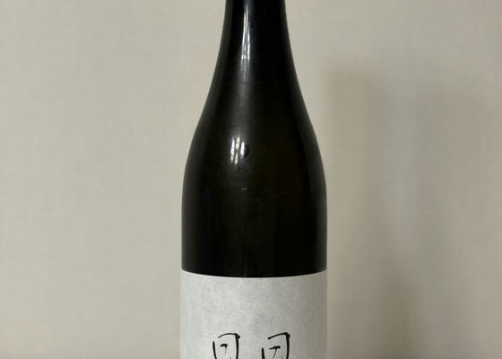 alt 1
