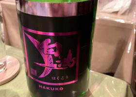 Hakuko Check-in 1