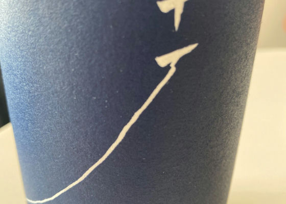 alt 1