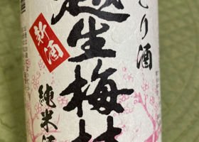 alt 1