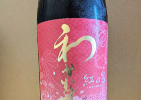 わかむすめ チェックイン 1