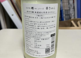 alt 3