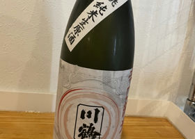 alt 1