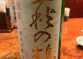 alt 1