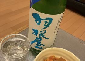 alt 1
