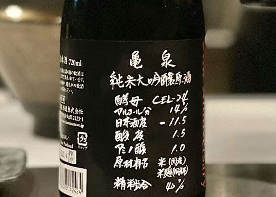 alt 1