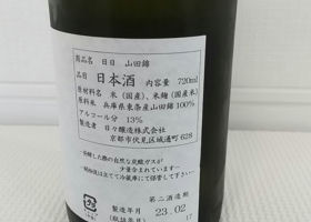 alt 3