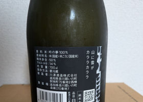 alt 3