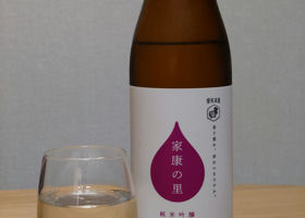 alt 1