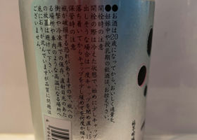 alt 3