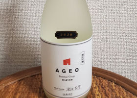 AGEO チェックイン 1