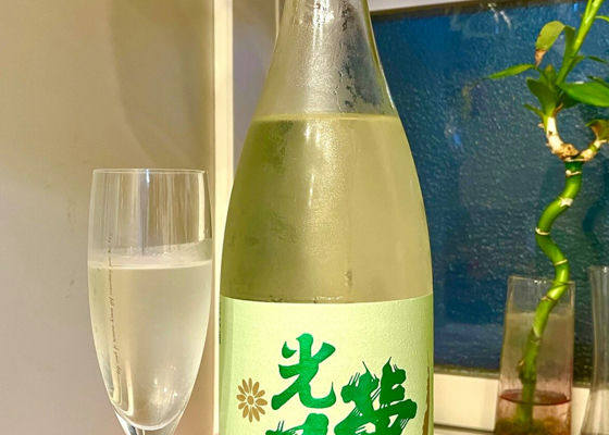 光栄菊