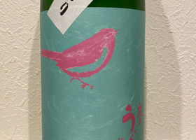 alt 2