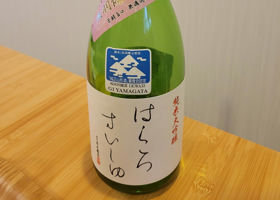 alt 1