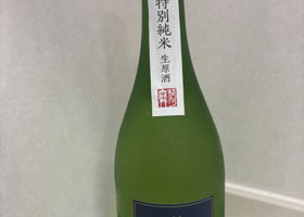 alt 1