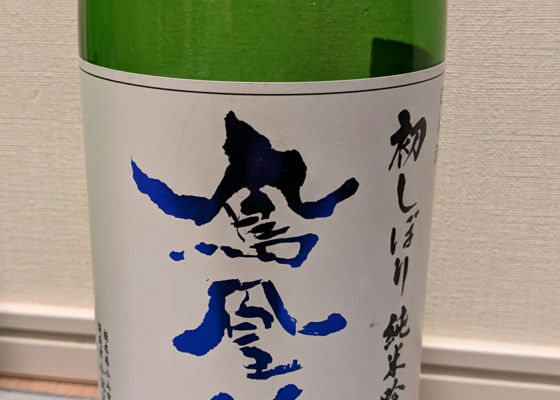 alt 1