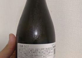 alt 1