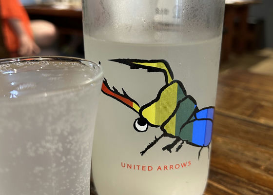 alt 1