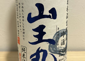 alt 1