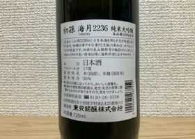 alt 2