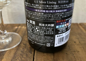 Silver Lining チェックイン 2