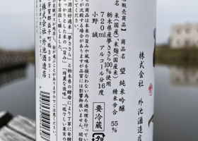 alt 3