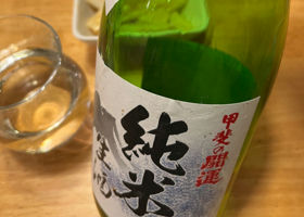 alt 1