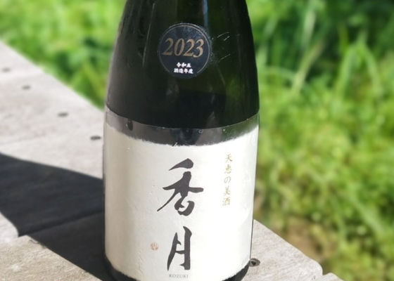 香月 チェックイン 1